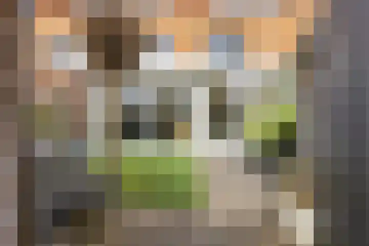 Akkerhommel 5 Krommenie thumbnail 45