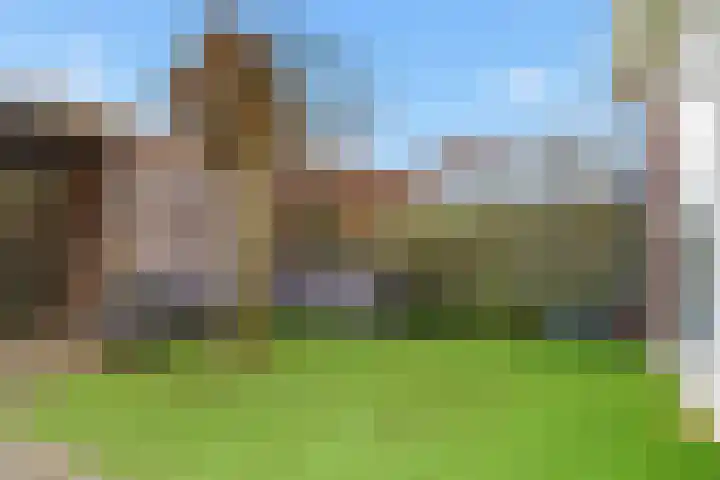 Akkerhommel 5 Krommenie thumbnail 47