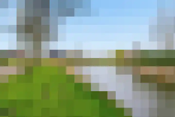 Akkerhommel 5 Krommenie thumbnail 49