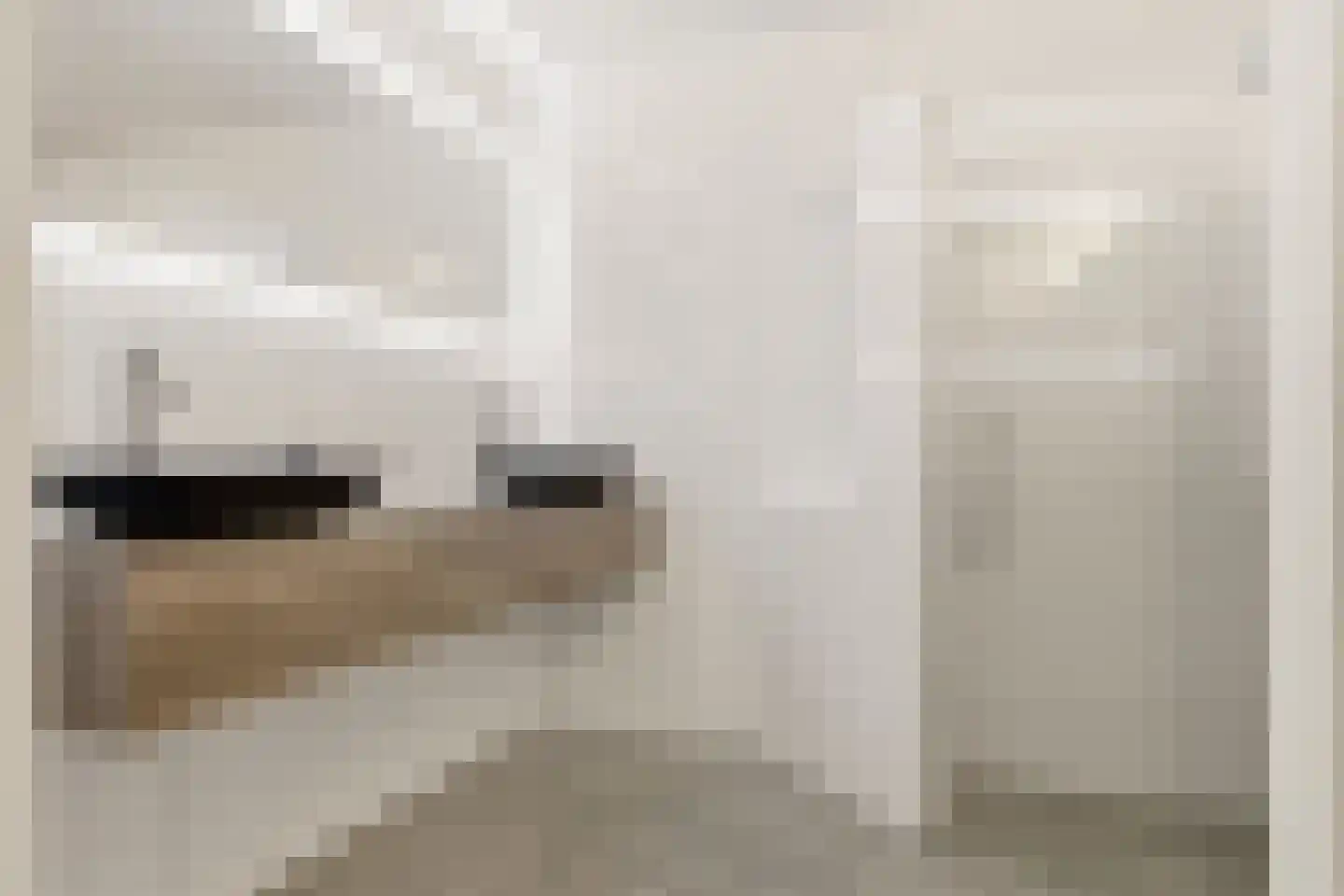 Akkerhommel 5 Krommenie thumbnail 5