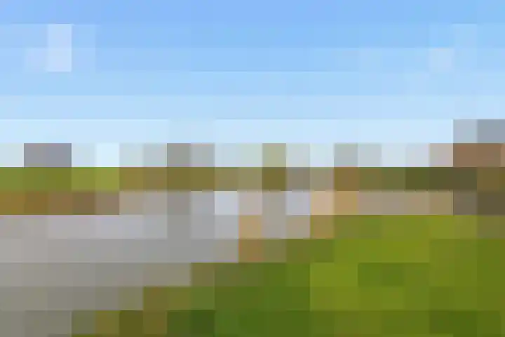 Akkerhommel 5 Krommenie thumbnail 50