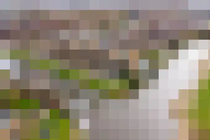 Akkerhommel 5 Krommenie thumbnail 7