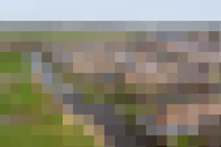 Akkerhommel 5 Krommenie thumbnail 8