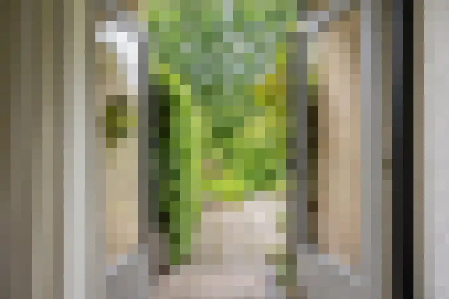 Akkerhoornbloem 7 Leiden thumbnail 37