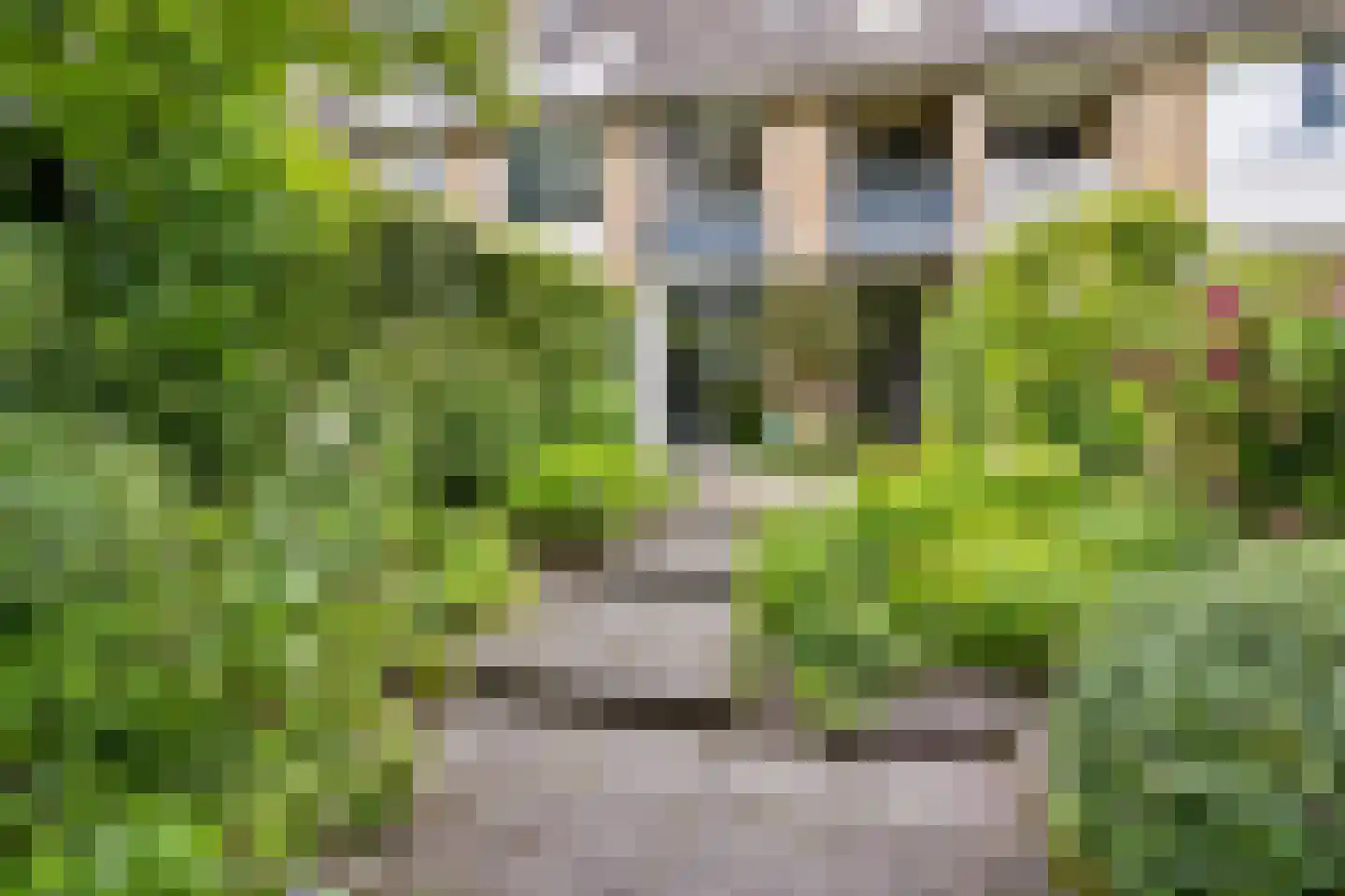 Akkerhoornbloem 7 Leiden thumbnail 42