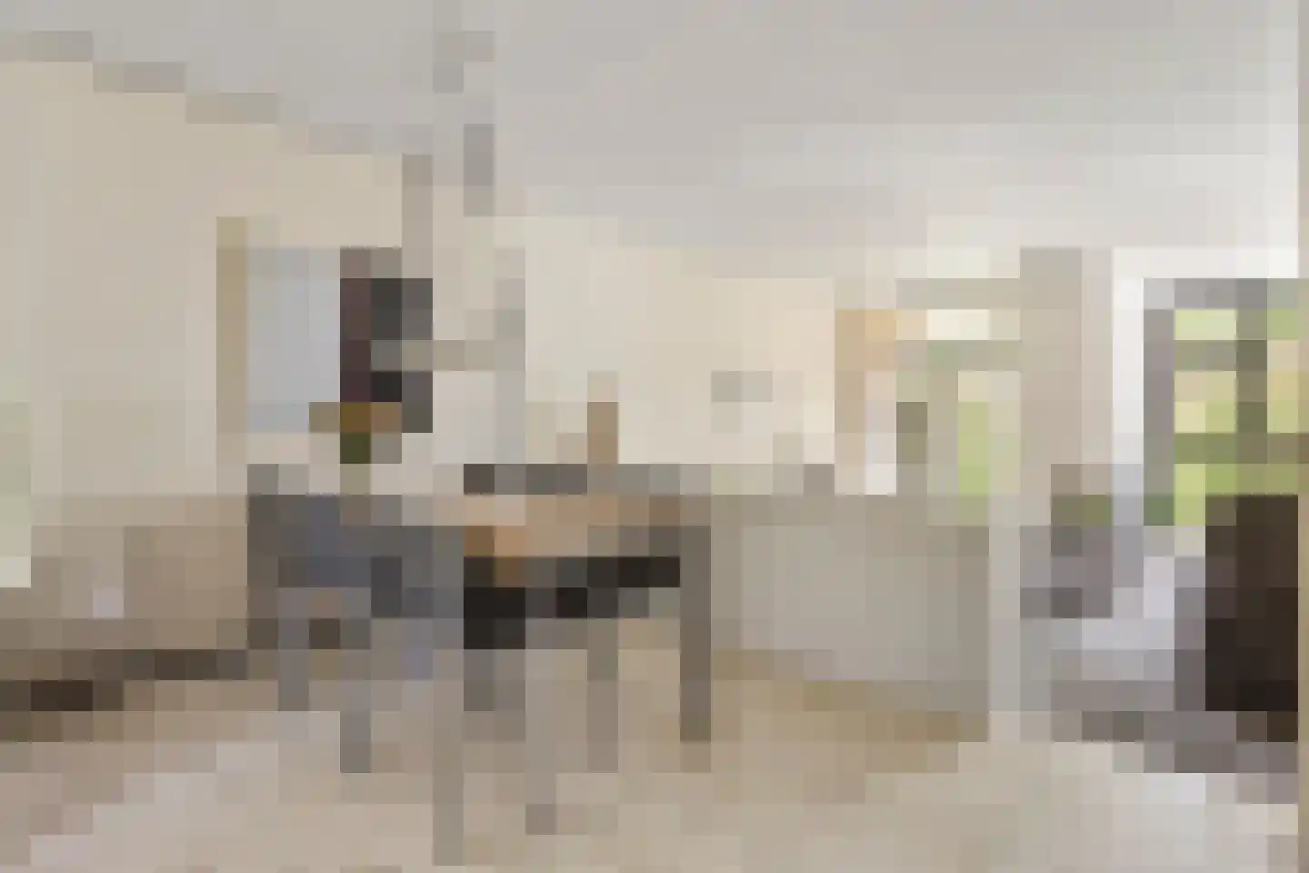 Akkerhoornbloem 7 Leiden thumbnail 5