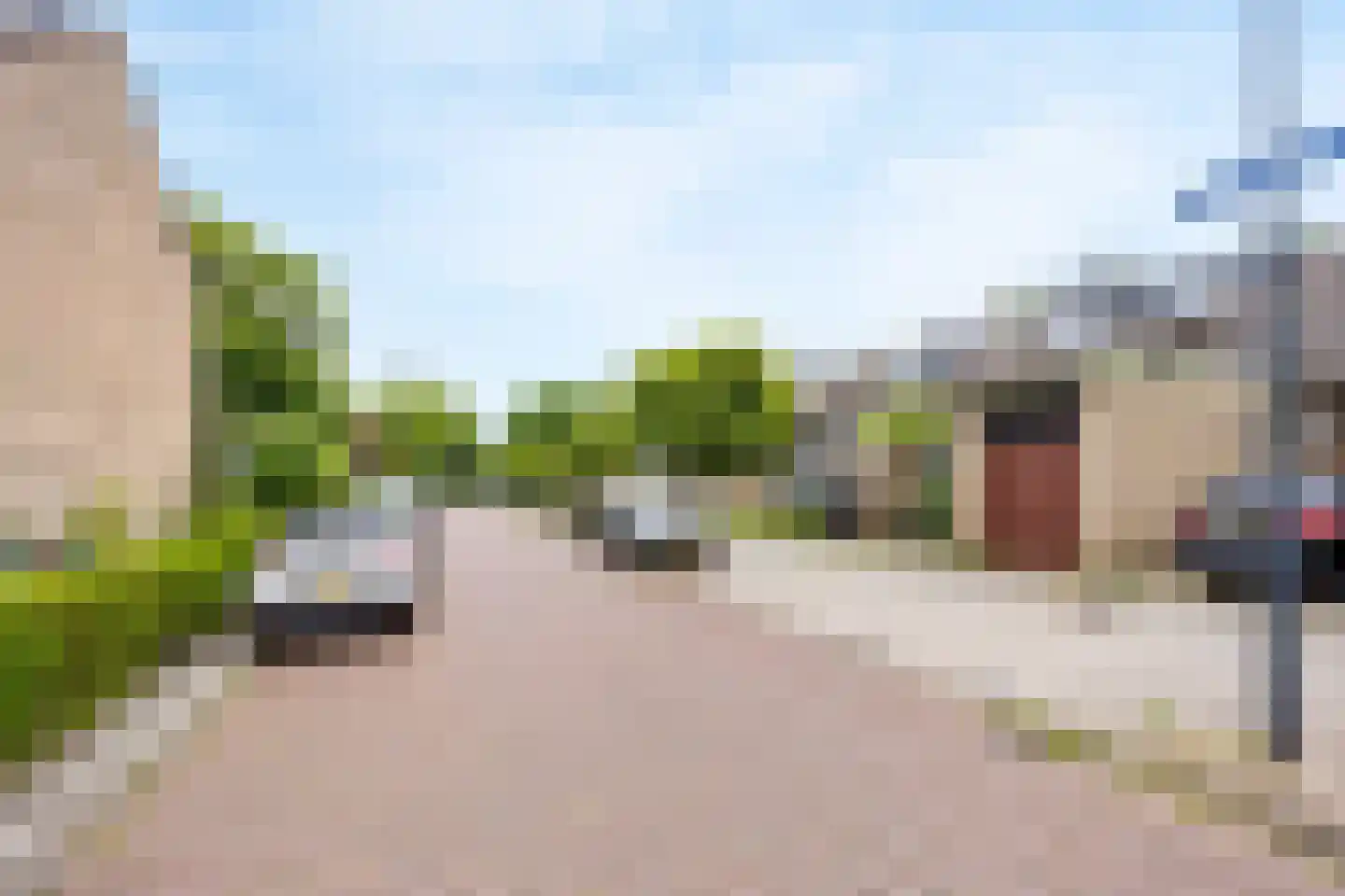 Akkerhoornbloem 7 Leiden thumbnail 50