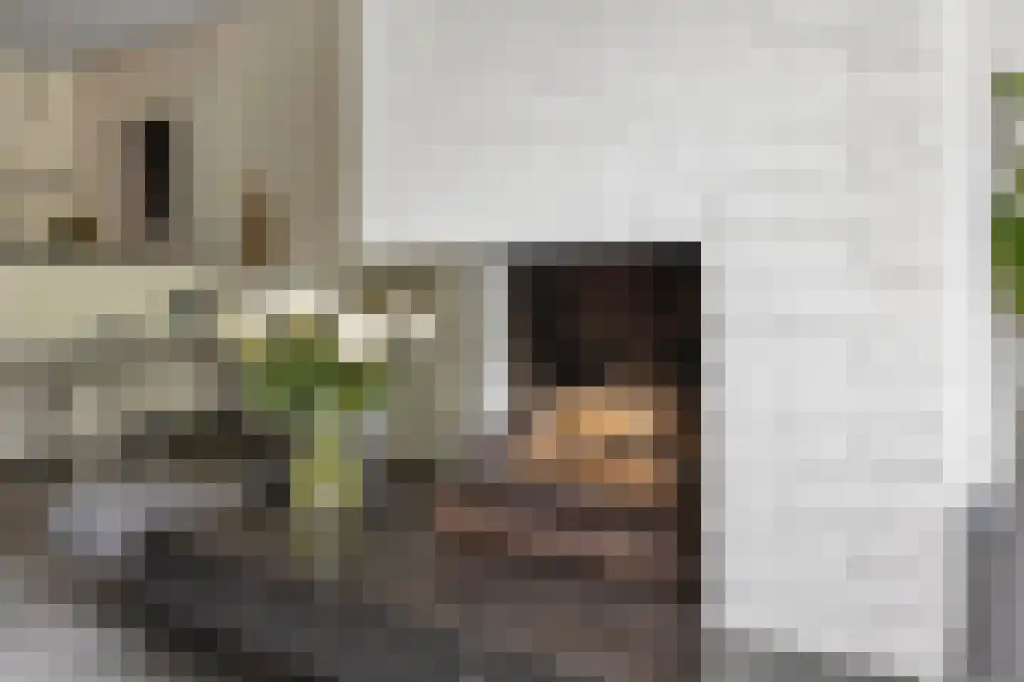 Akkerhoornbloem 7 Leiden thumbnail 8