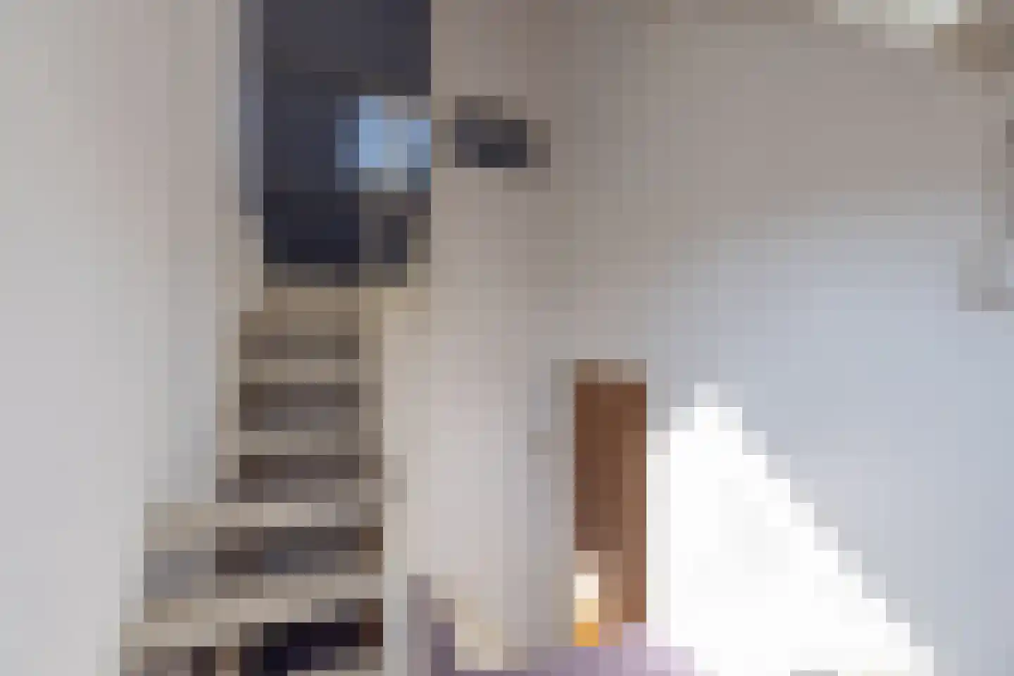 Akkerhoornbloemstraat 5 Alkmaar thumbnail 29