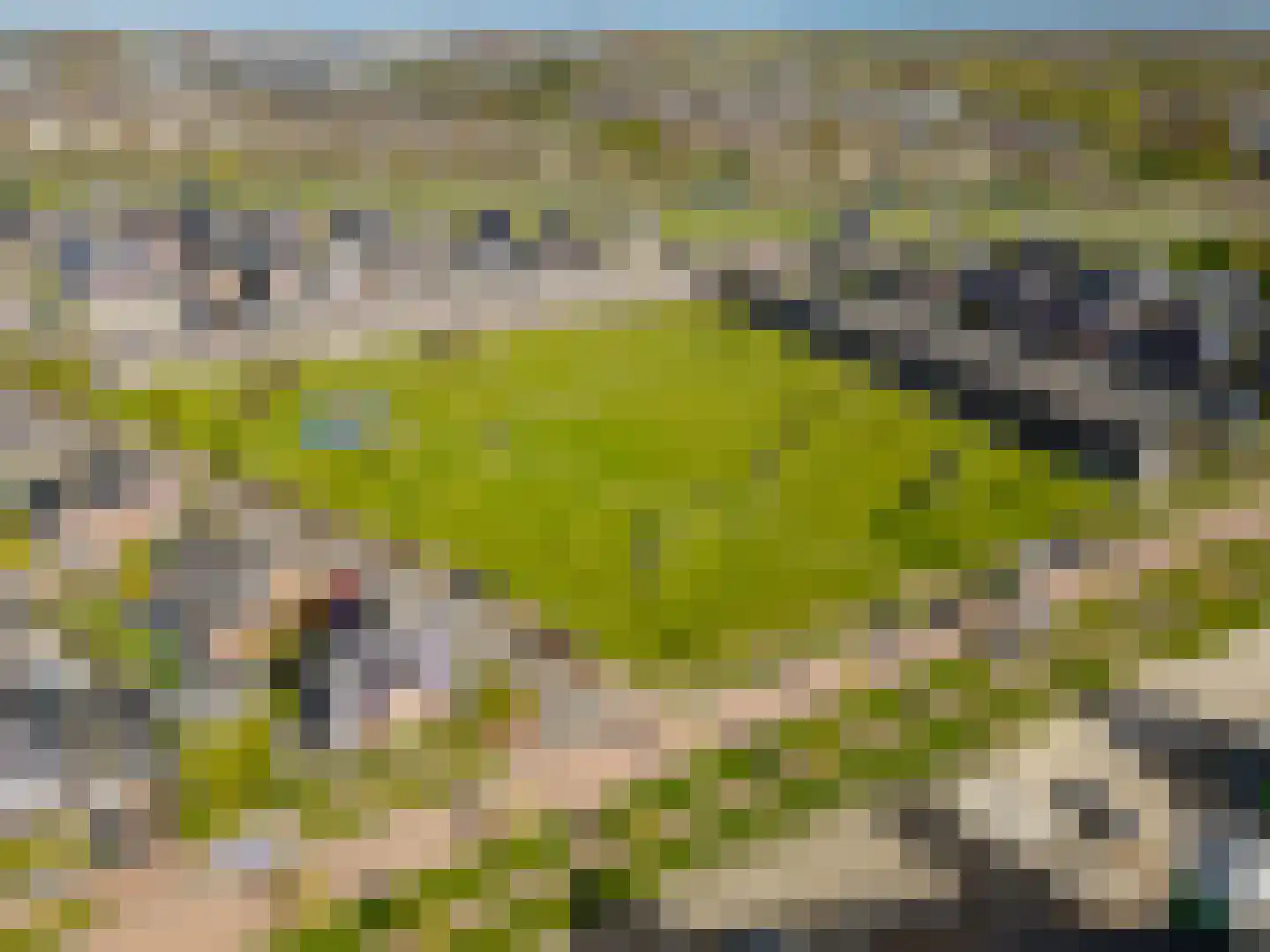 Akkerkers 1 Lelystad thumbnail 45