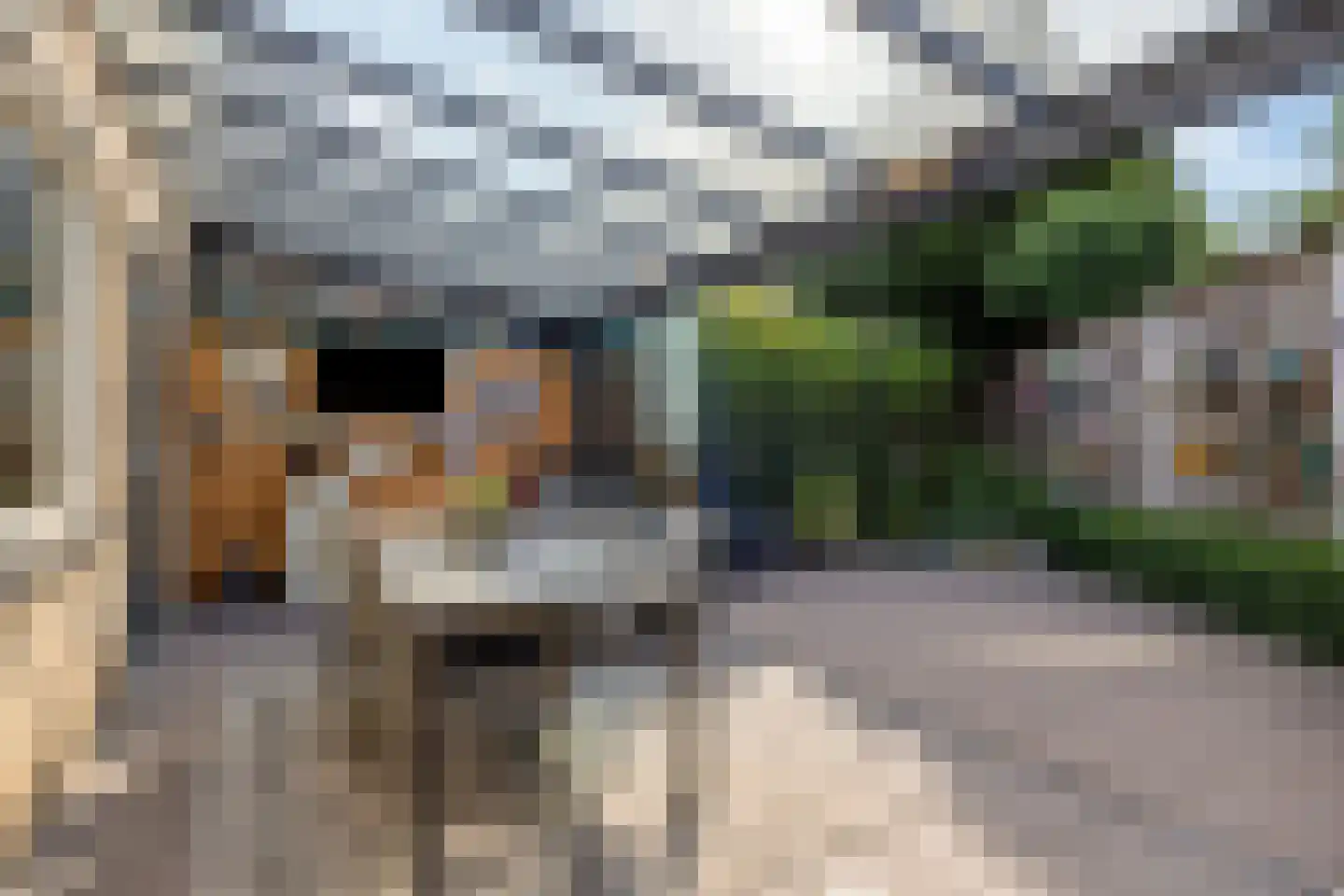 Akkerkers 36 Oldenzaal thumbnail 30