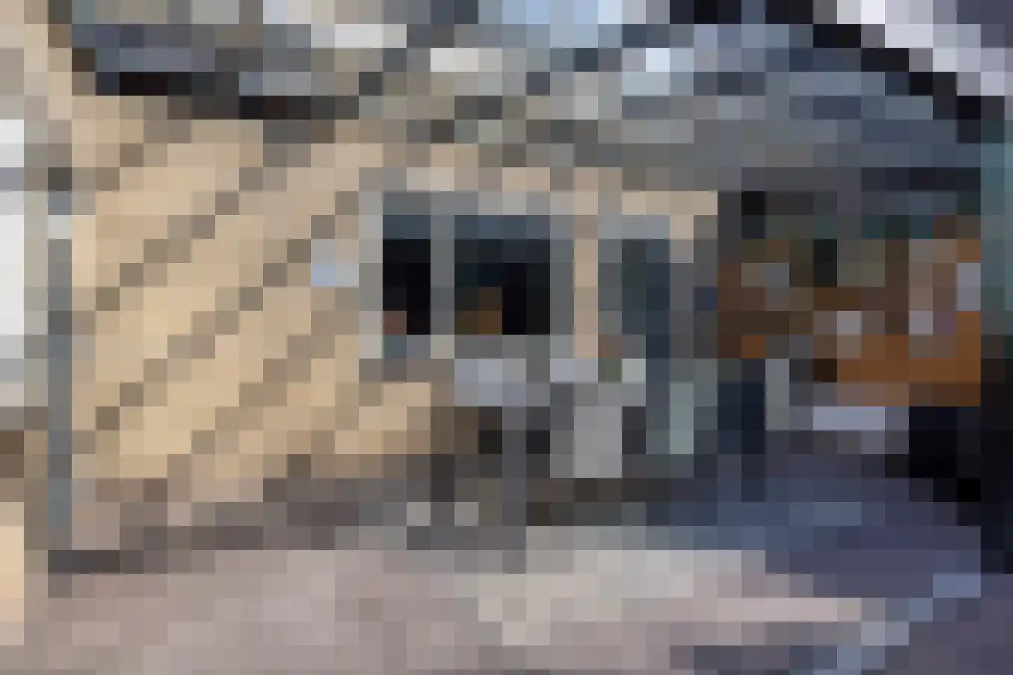 Akkerkers 36 Oldenzaal thumbnail 31
