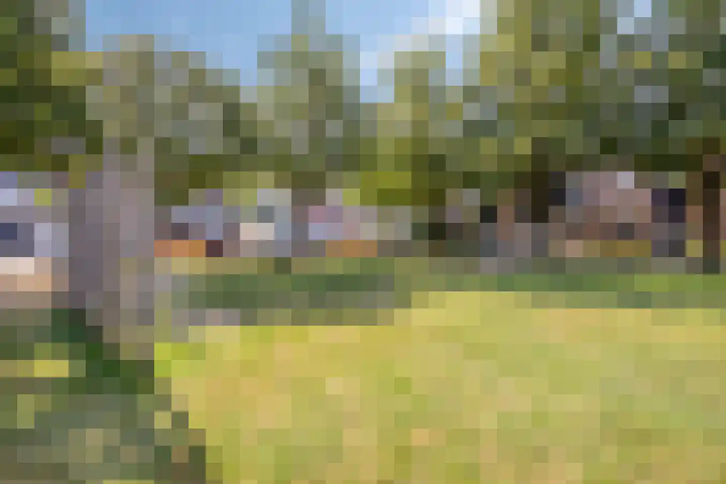Akkerkers 36 Oldenzaal thumbnail 34