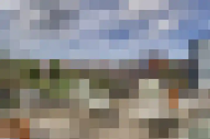 Akkerklokje 25 Katwijk thumbnail 39