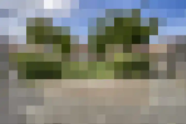 Akkerklokje 25 Katwijk thumbnail 43