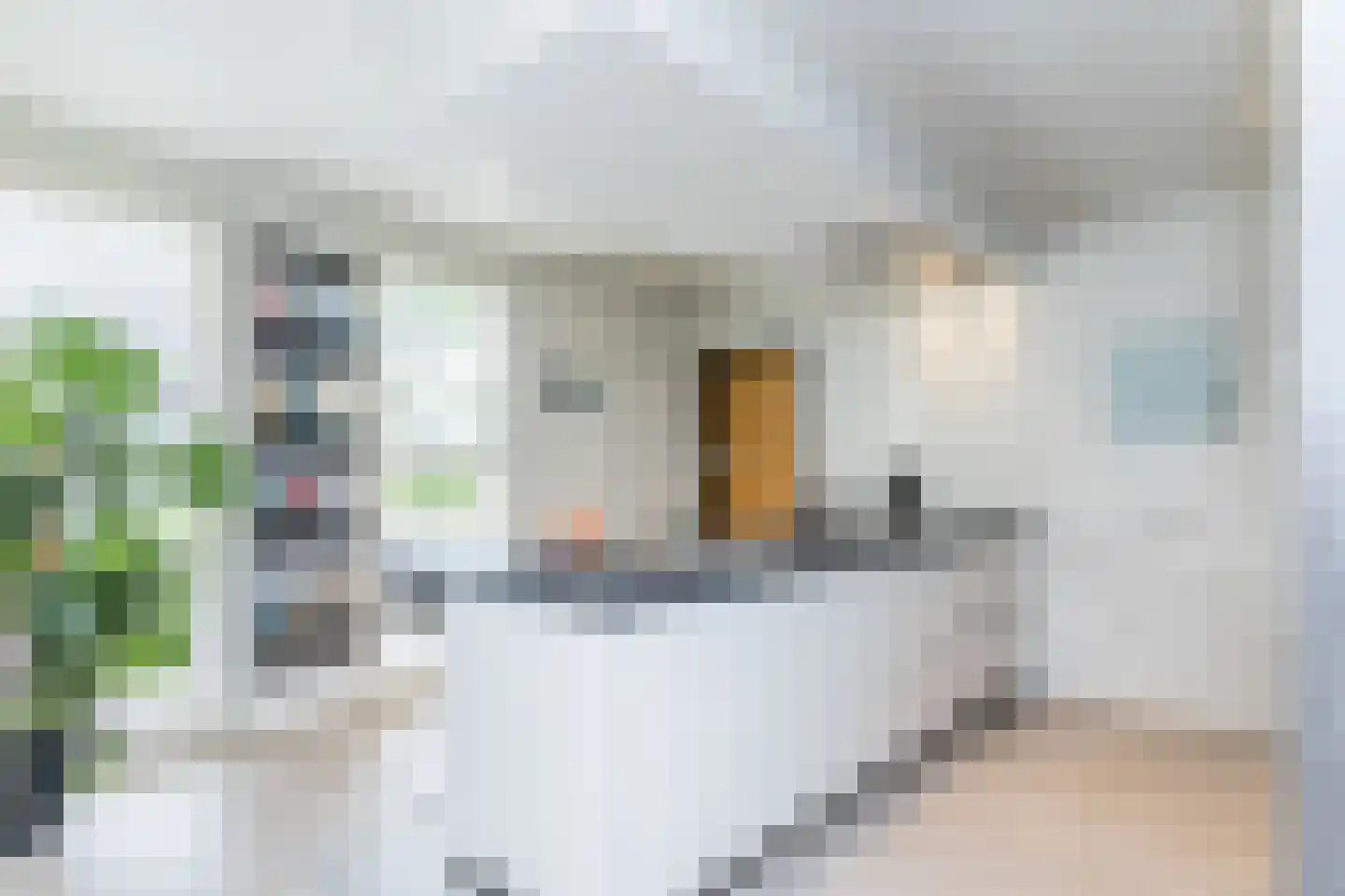 Akkerklokje 4 Voerendaal thumbnail 12