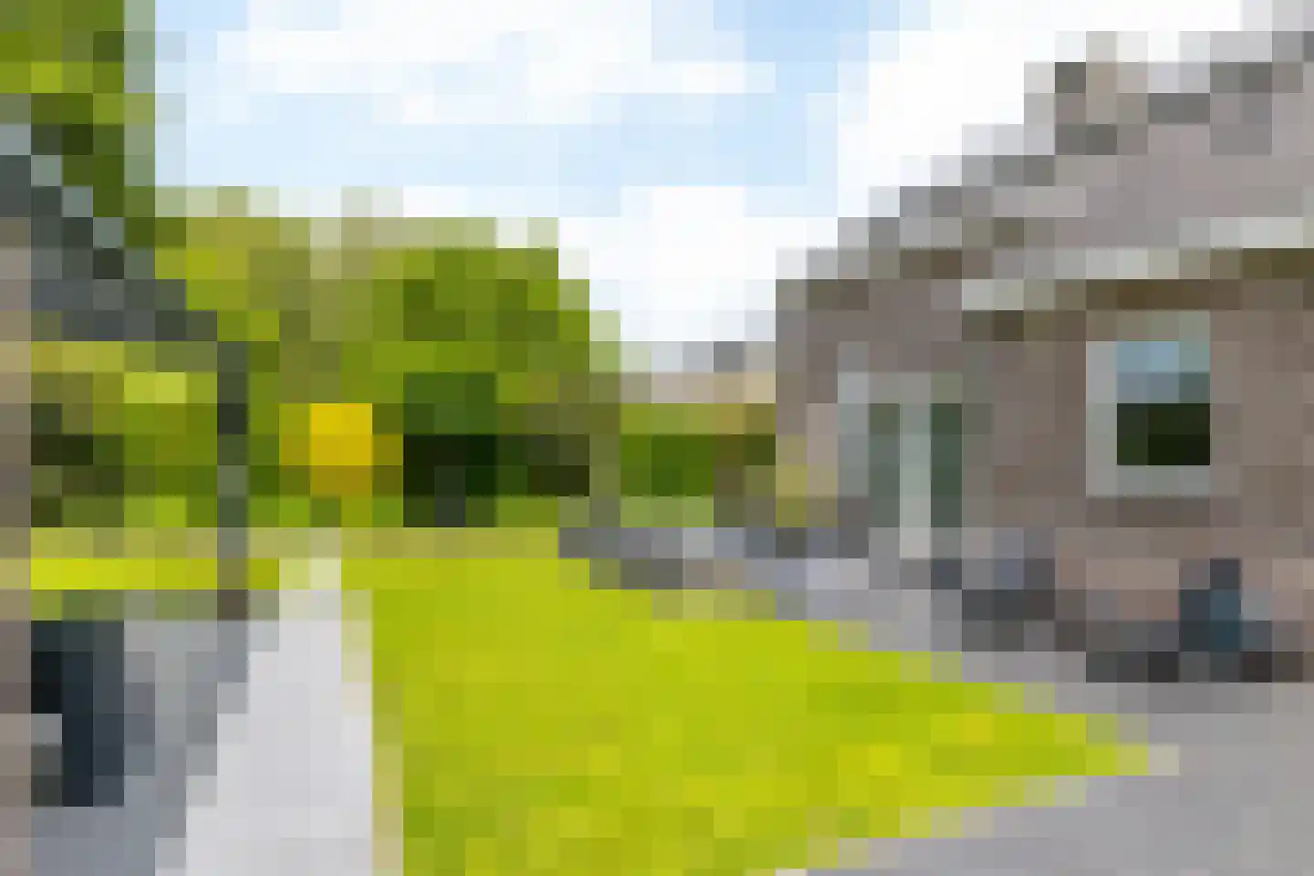 Akkerklokje 4 Voerendaal thumbnail 38