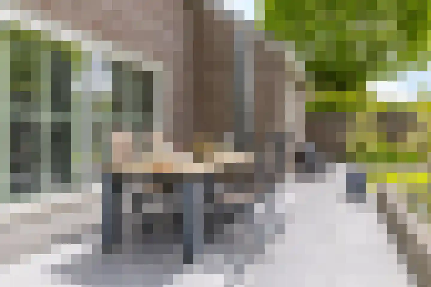 Akkerklokje 4 Voerendaal thumbnail 42