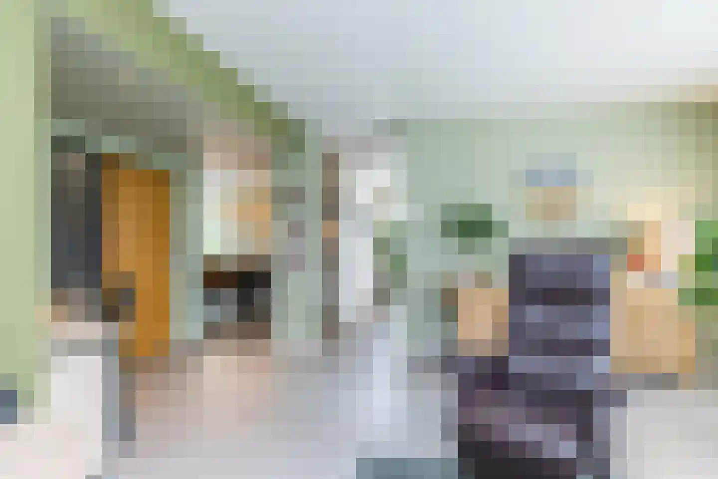 Akkerklokje 4 Voerendaal thumbnail 8