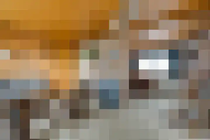 Akkerlaan 1 Prinsenbeek thumbnail 10