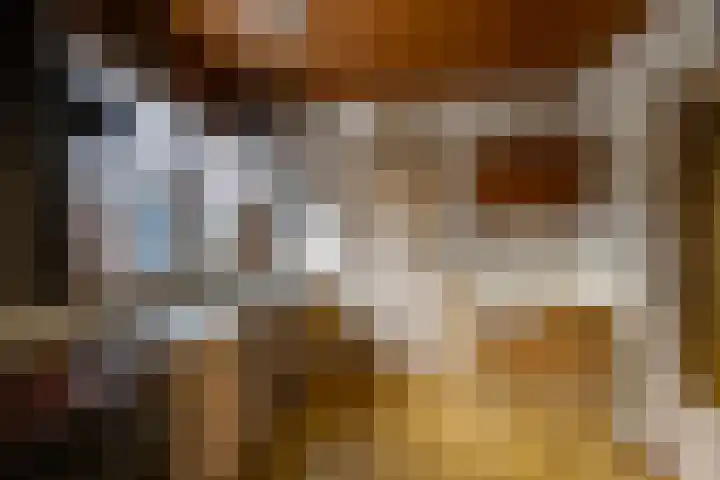 Akkerlaan 1 Prinsenbeek thumbnail 12