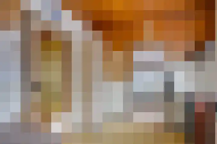 Akkerlaan 1 Prinsenbeek thumbnail 14