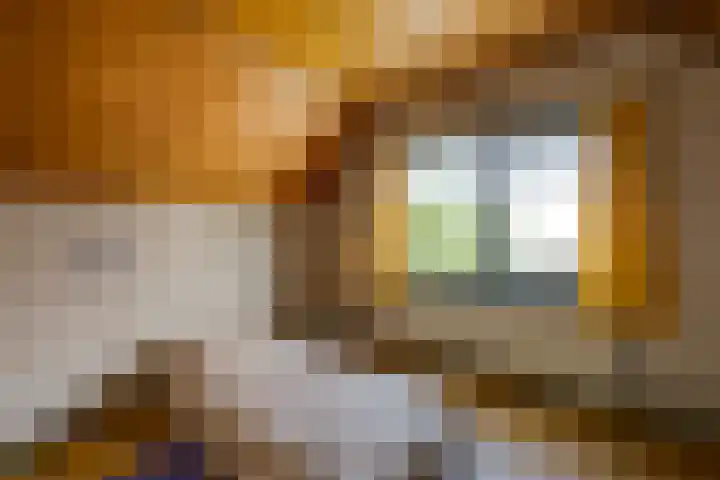 Akkerlaan 1 Prinsenbeek thumbnail 19