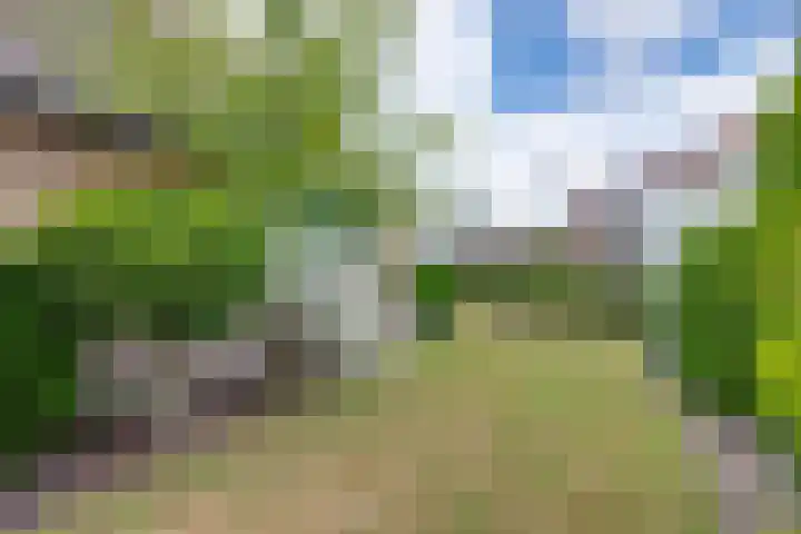 Akkerlaan 1 Prinsenbeek thumbnail 26