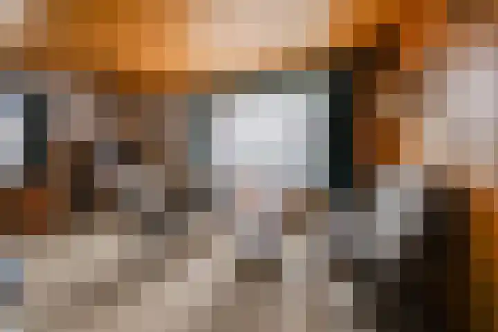Akkerlaan 1 Prinsenbeek thumbnail 8