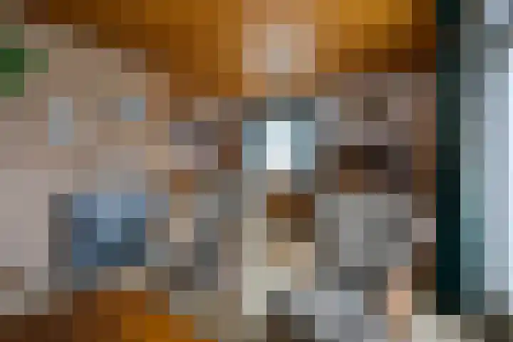 Akkerlaan 1 Prinsenbeek thumbnail 9