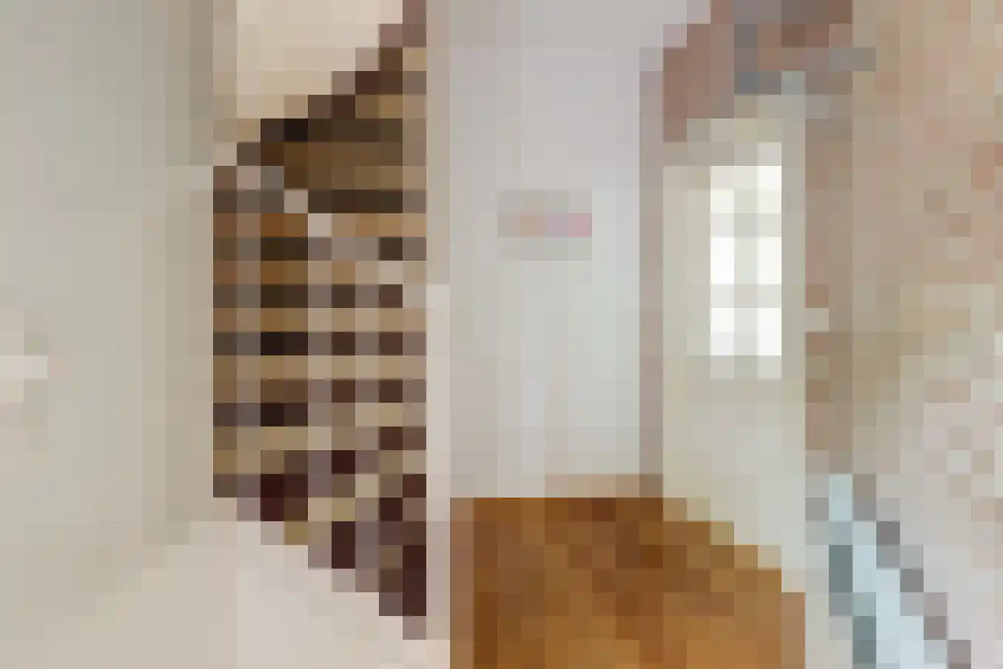 Akkerlaan 14 Arnemuiden thumbnail 10