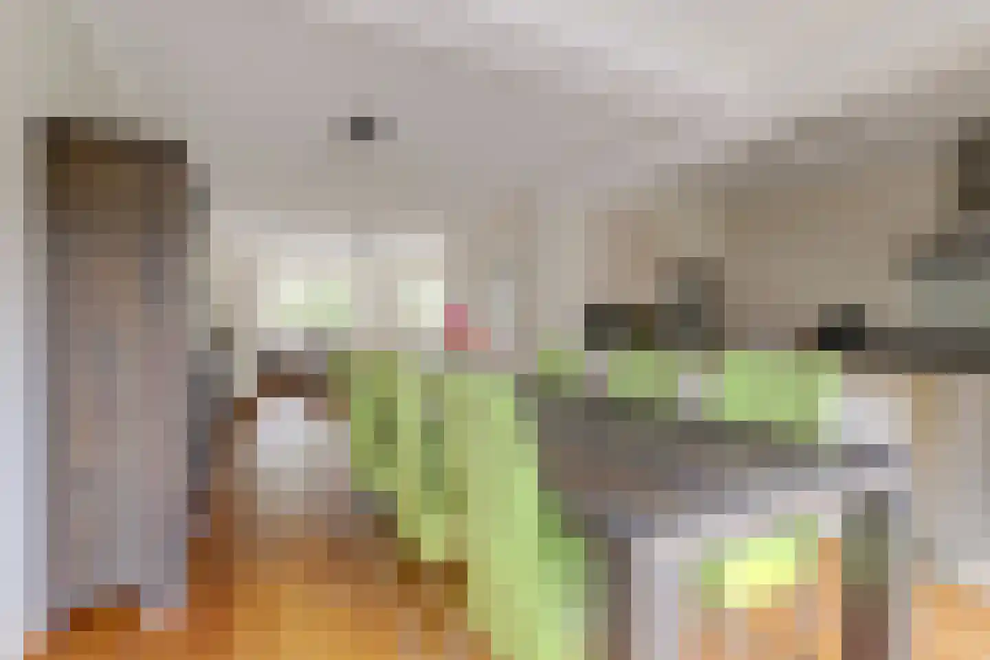 Akkerlaan 14 Arnemuiden thumbnail 17