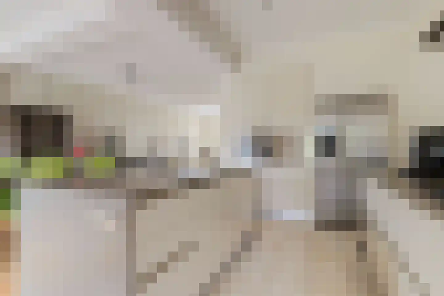 Akkerlaan 14 Arnemuiden thumbnail 20