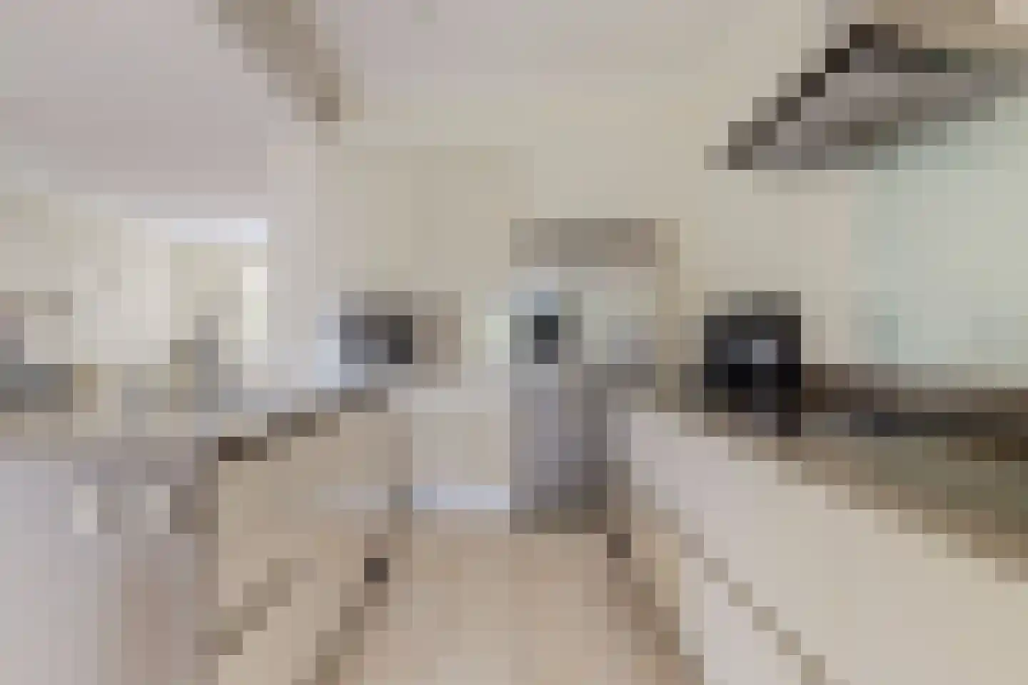Akkerlaan 14 Arnemuiden thumbnail 22