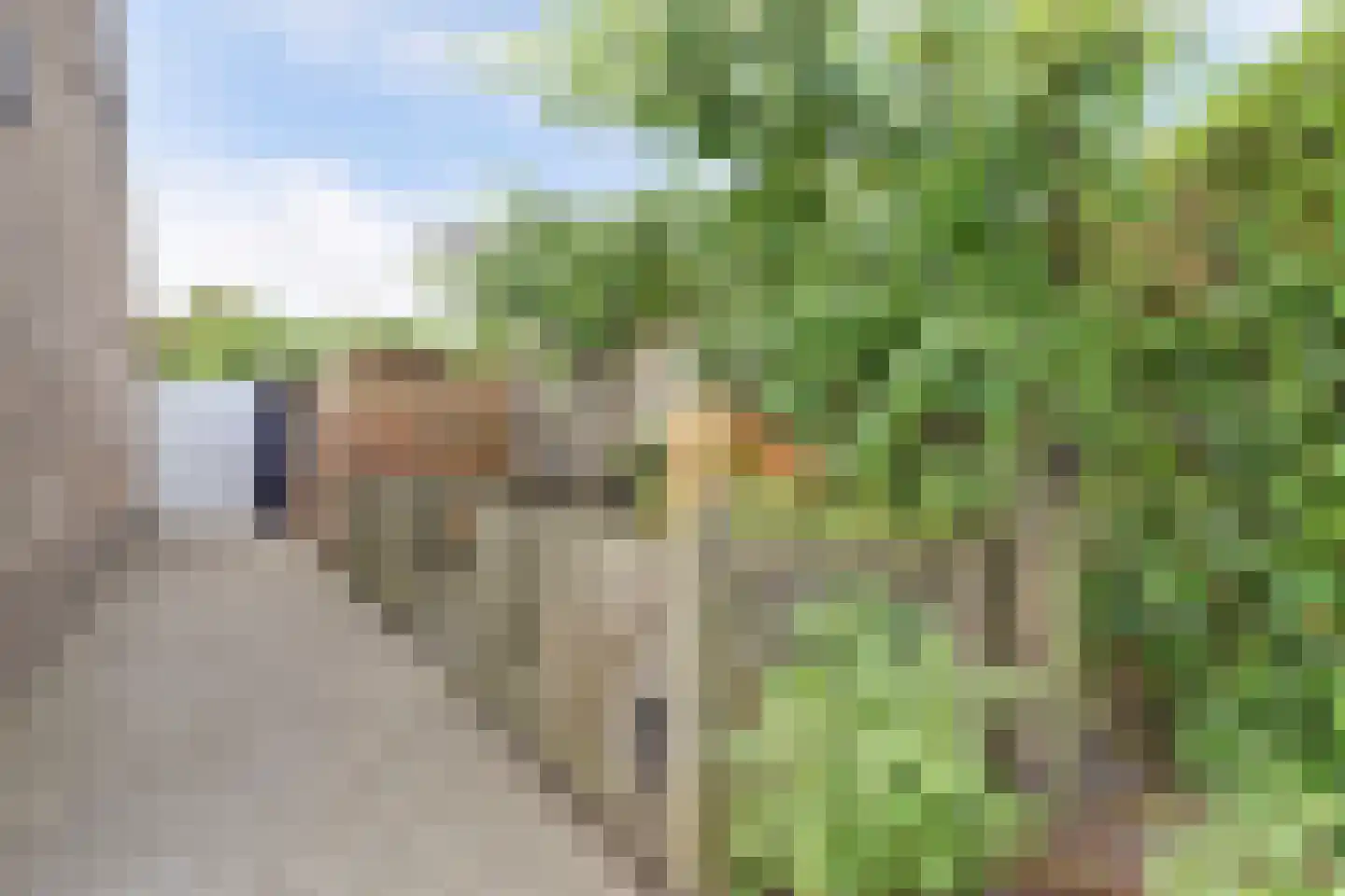 Akkerlaan 14 Arnemuiden thumbnail 49
