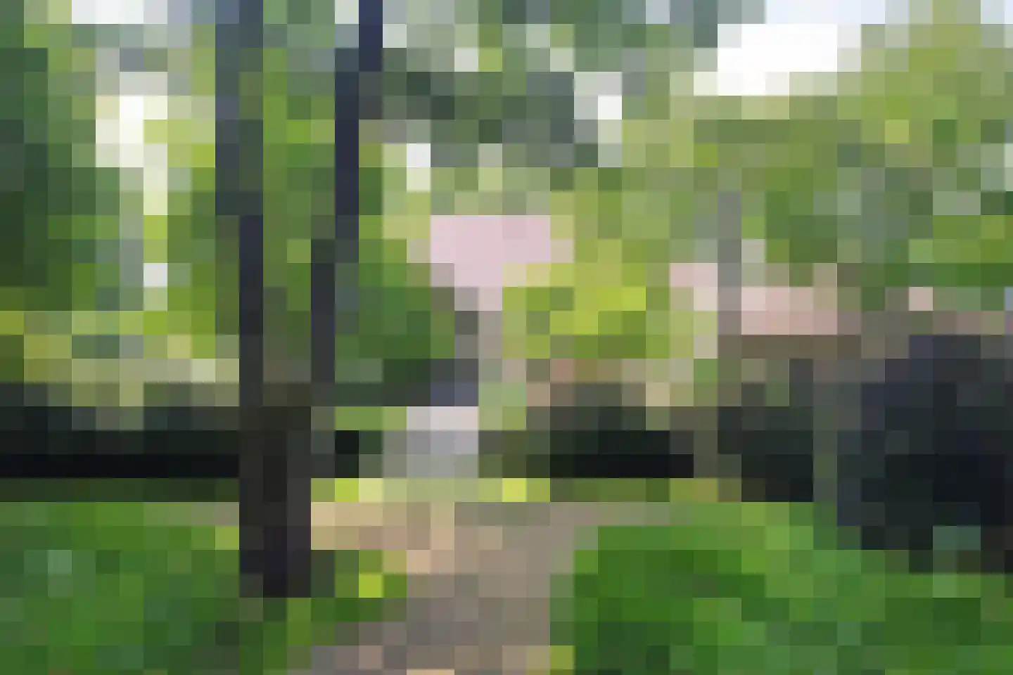 Akkerlaan 16 Waalwijk thumbnail 14
