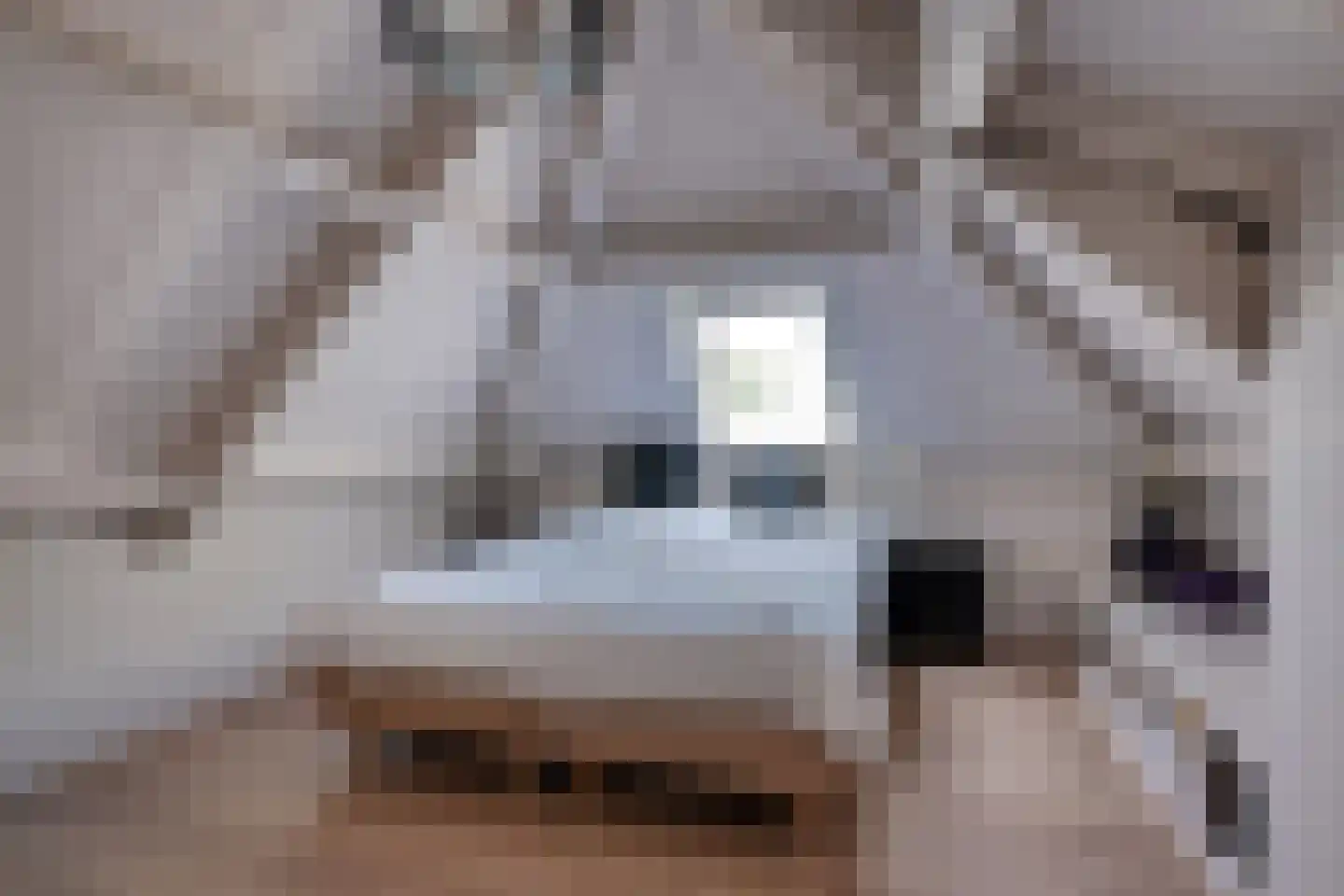 Akkerlaan 16 Waalwijk thumbnail 20