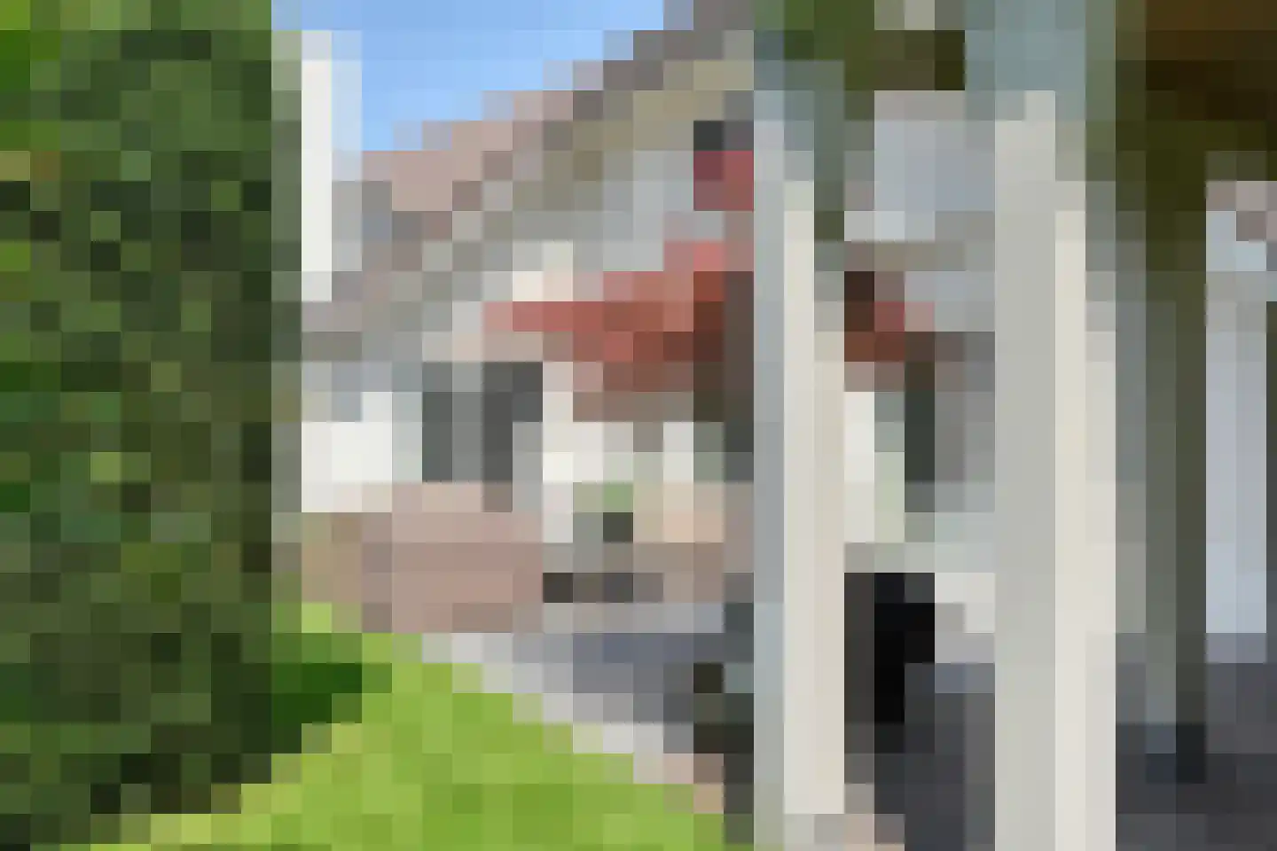 Akkerlaan 16 Waalwijk thumbnail 22