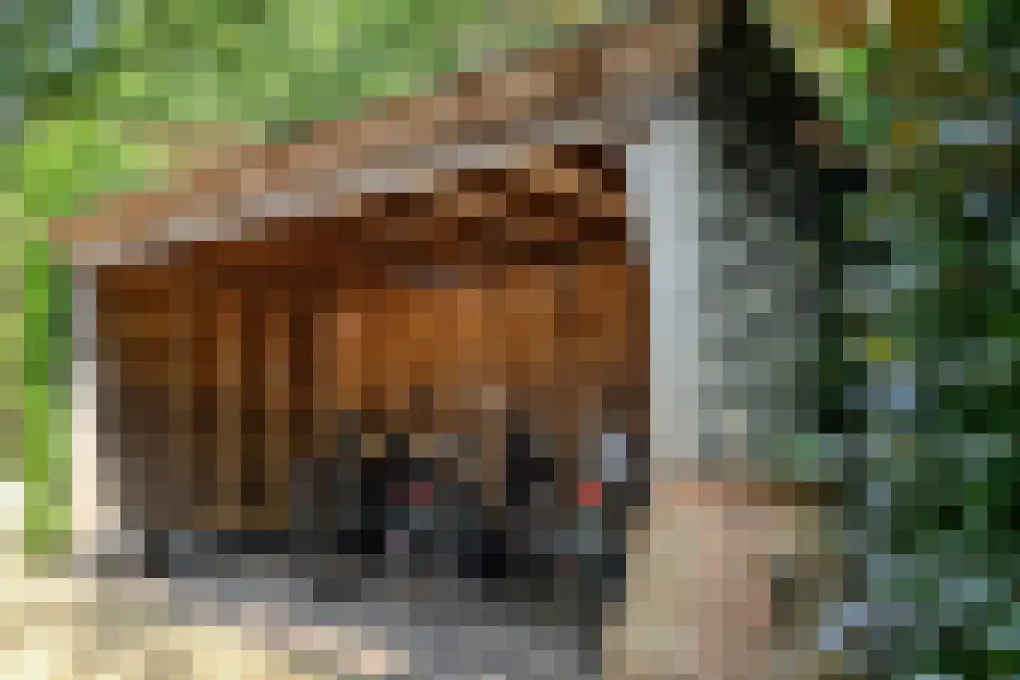 Akkerlaan 16 Waalwijk thumbnail 24