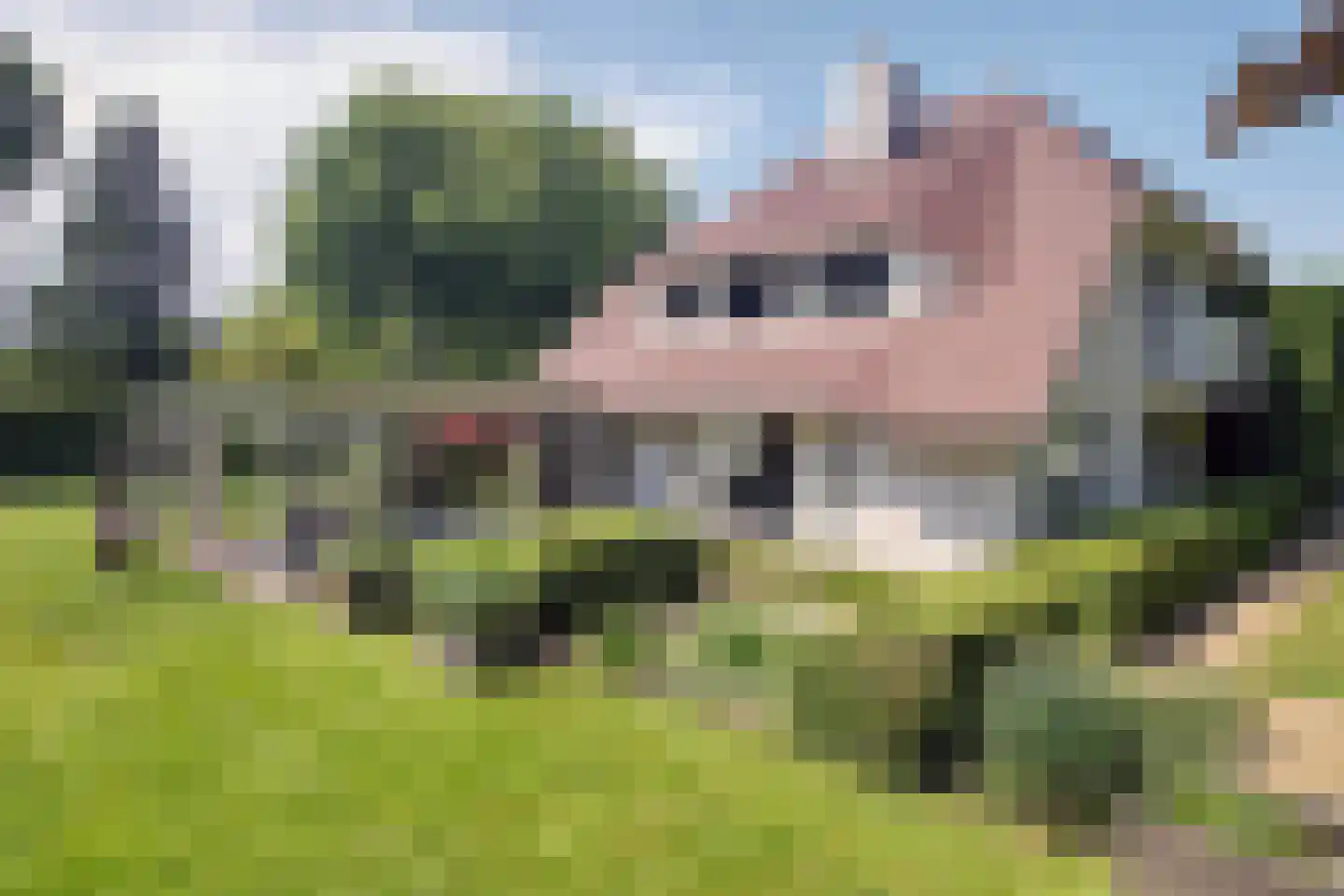 Akkerlaan 16 Waalwijk thumbnail 27