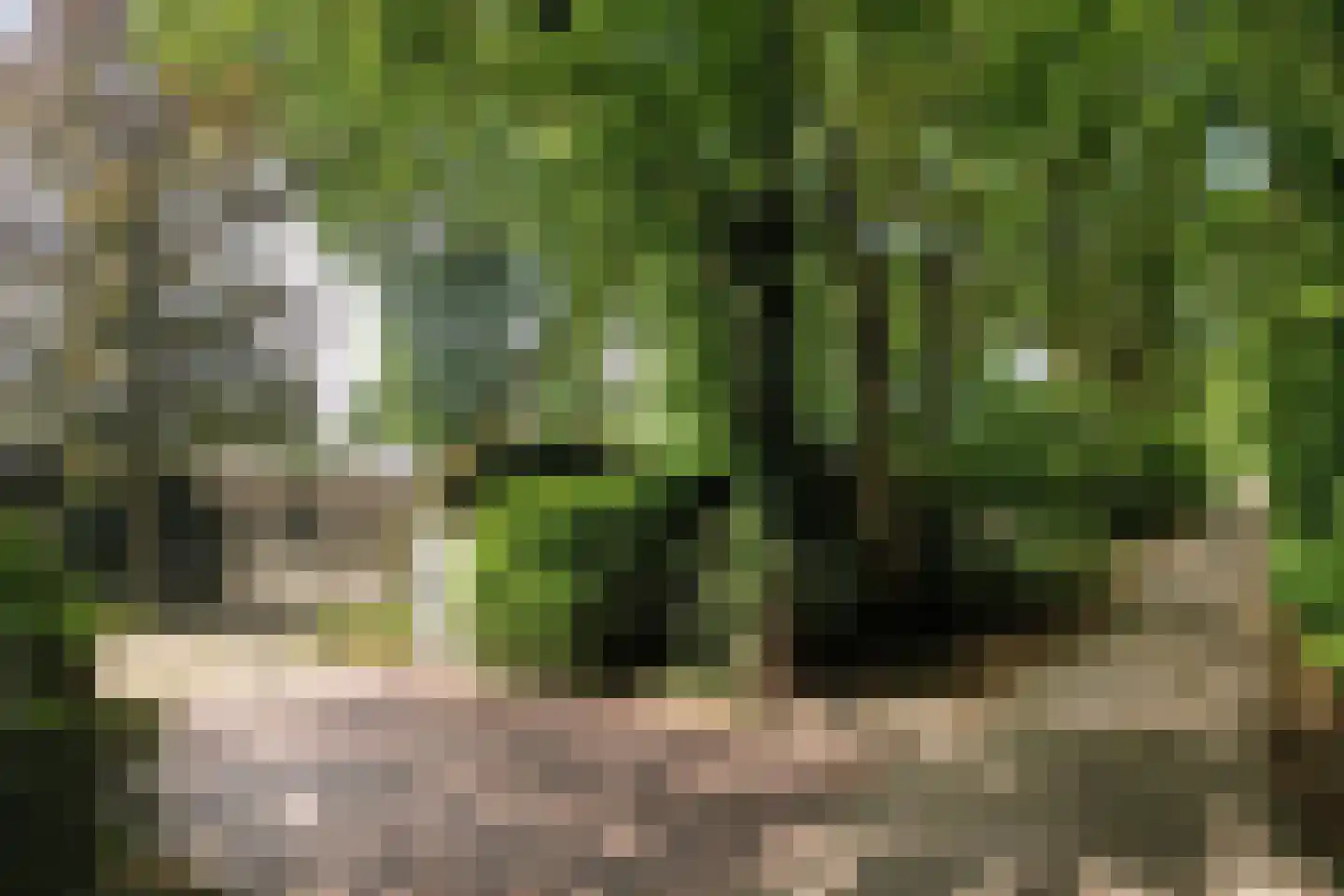 Akkerlaan 16 Waalwijk thumbnail 28