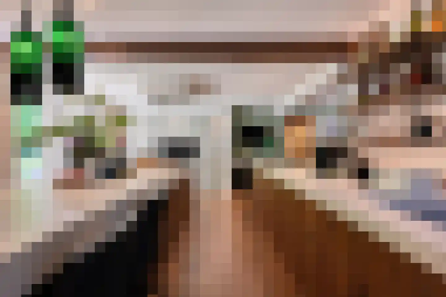 Akkerlaan 16 Waalwijk thumbnail 9
