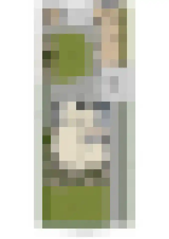 Akkerlaan 3 Prinsenbeek thumbnail 42