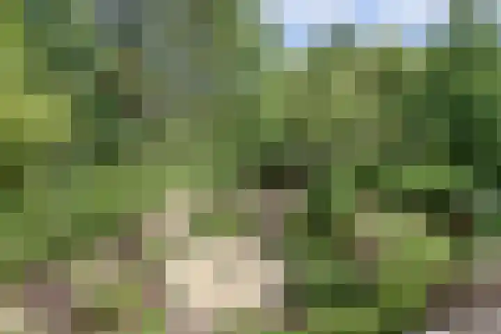 Akkerlaan 30 Nijmegen thumbnail 40