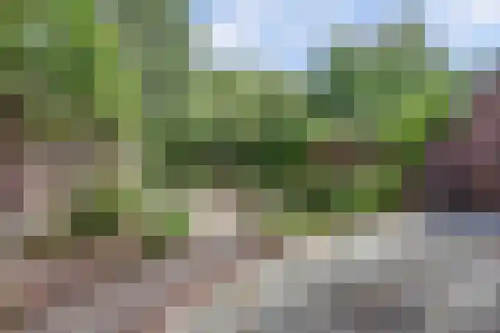 Akkerlaan 30 Nijmegen thumbnail 56