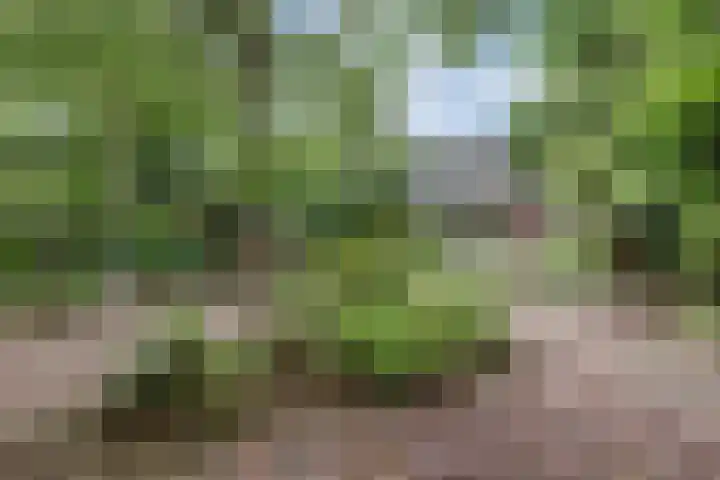 Akkerlaan 30 Nijmegen thumbnail 60