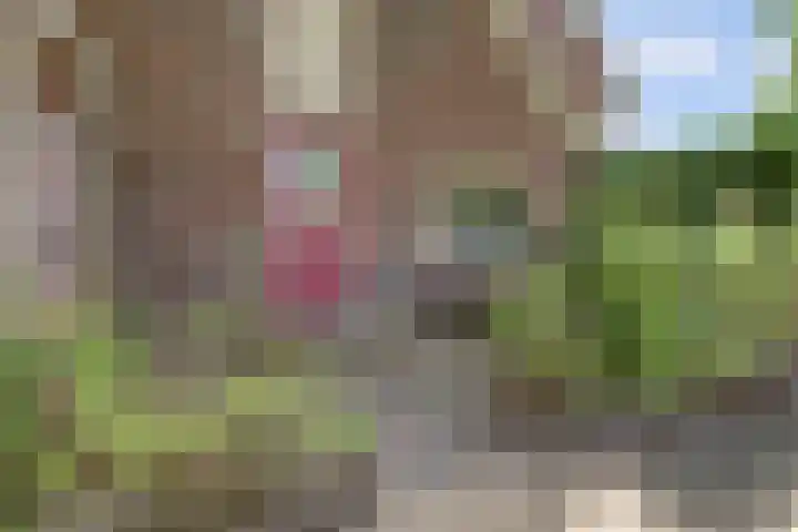 Akkerlaan 30 Nijmegen thumbnail 63