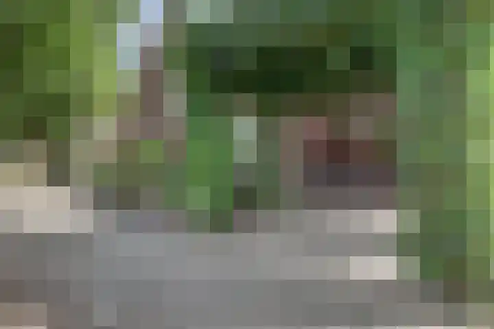 Akkerlaan 30 Nijmegen thumbnail 64