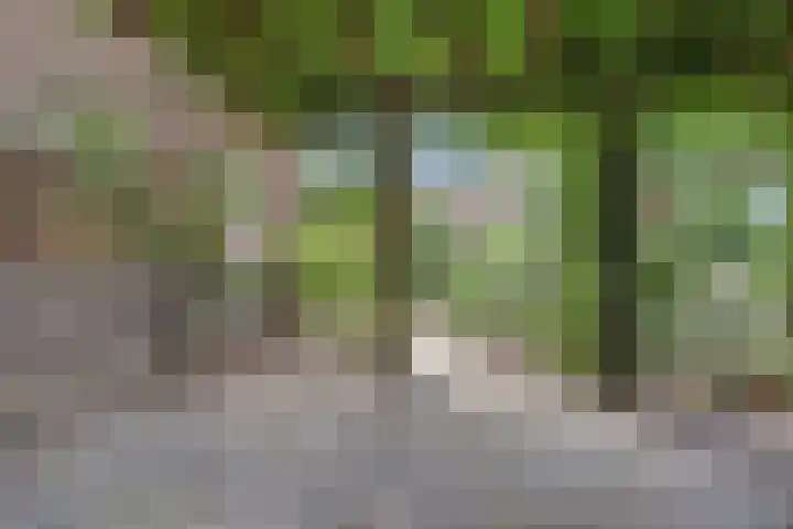 Akkerlaan 30 Nijmegen thumbnail 65
