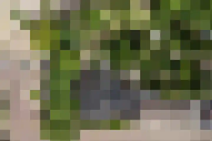 Akkerlaan 30 Nijmegen thumbnail 69
